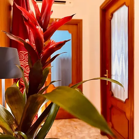 Apartmán Sweet Vieste